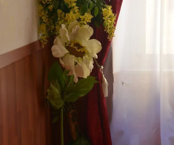 艾尔伯格全景酒店 2* 弗拉斯卡蒂